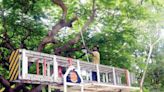 MCC starts citywide pruning of trees - Star of Mysore