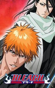 Bleach