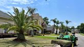 Bryan’s Sod Installation & Landscaping Expands Into St. Augustine, FL