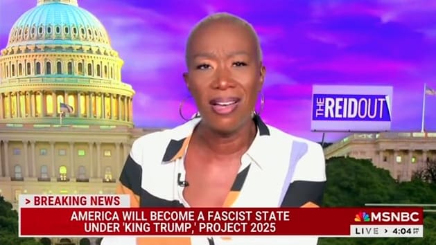 MSNBC’s Joy Reid Lambasts the ‘Coward’ Behind Project 2025