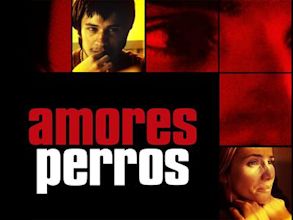 Amores perros