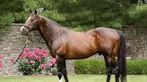 Prominent International Sire Tale of the Cat Dies at 30