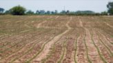 Pólo agrícola boliviano enfrenta impasse político sobre grãos e gado