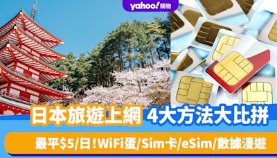 日本旅遊上網4大方法大比拼！每日最平$5起 WiFi蛋/Sim卡/eSim/數據漫遊推薦（內附網購優惠連結）