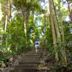 Bukit Timah Nature Reserve