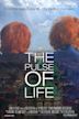 The Pulse of Life