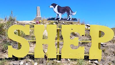 Shep the dog to a WW2 pigeon: Eight strange and poignant images of pet cemeteries