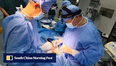 World first: living cancer patient in China receives pig’s liver transport