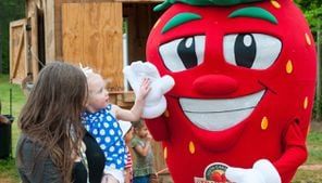 Strawberry Festival canceled due to threat of inclement weather