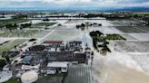 Inundaciones arruinan los cultivos y ahogan al ganado en uno de los centros gastronómicos de Italia