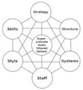 McKinsey 7S Framework