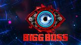 Bigg Boss 18: Bigg Boss OTT 3 Star Kritika Malik & First 3 Contestants Of Salman Khan's Reality Show Locked? [Fact Check]