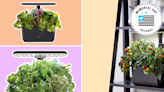 AeroGarden sale: Save up to 15% on hydroponic systems this Memorial Day