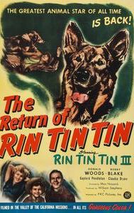 The Return of Rin Tin Tin