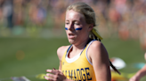 Tallmadge and Wadsworth earn top 5 finishes at OHSAA high school state cross country meet