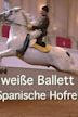 Das weiße Ballett - Die Spanische Hofreitschule