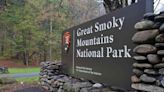 Smoky Mountains National Park Closes Select Trails As Bears Prepare for Winter — What to Know