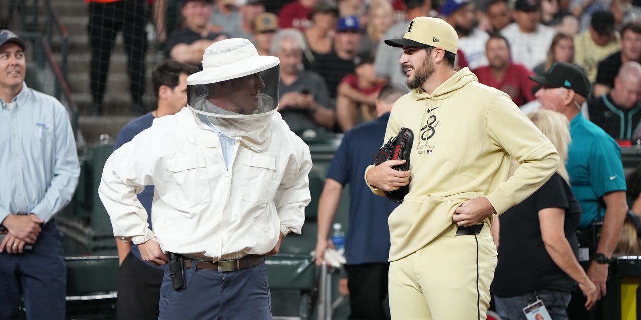 The Beekeeper Who Saved a Major League Baseball Game