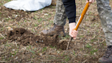 Charity urges more tree planting across South East