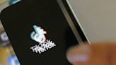 TikTok Ads Will Soon Feature AI-Generated Avatars of Content Creators, Influencers