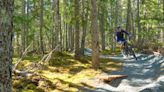 Pedalling into new terrain: Terra Nova National Park develops first mountain biking trail