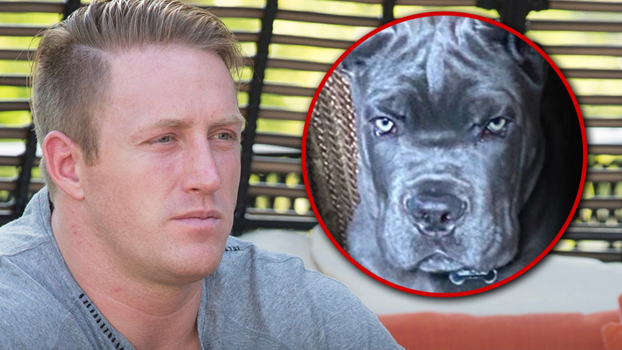 Kroy Biermann Gets Ticket for Dog Getting 'Aggressive' with Neighbor