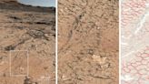 研究：火星曾現乾濕交替氣候 有利於生命存在