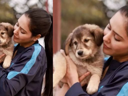Sonam Bajwa finds a furry friend on the sets of ‘Kudi Haryane Val Di’ - Times of India