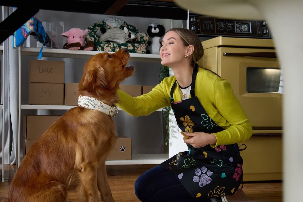 How to watch Hallmark Channel’s ‘Everything Puppies’ premiere online for free