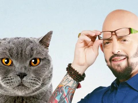 My Cat from Hell Season 1 Streaming: Watch & Stream Online via HBO Max