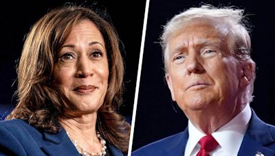 Trump struggles to keep his edge against Harris with fewer than 100 days until the election