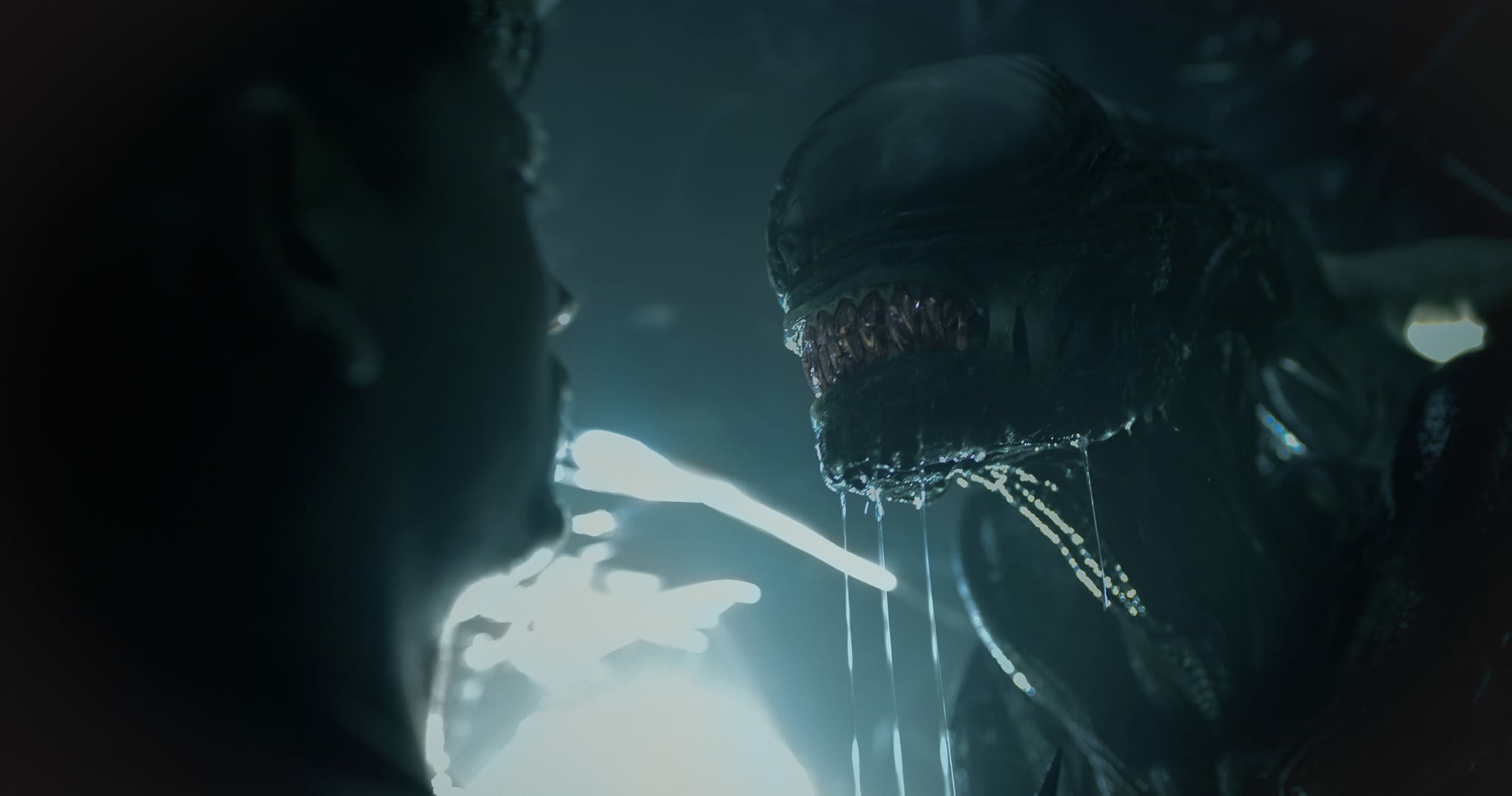 Where to watch all the Alien movies before Alien: Romulus hits theaters