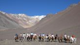 El otro efecto de “La sociedad de la nieve”: en Mendoza, ya es furor el interés en una propuesta turística