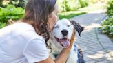 12 Ways to Cope When Your Pet Is Diagnosed With Cancer