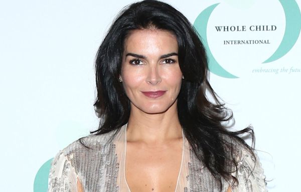 Angie Harmon sues Instacart and delivery driver accused of shooting her dog, opens up about 'unfathomable' incident