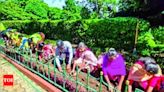 Sim’s Park planting for tourist season | Coimbatore News - Times of India