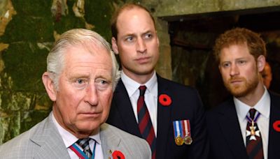 Prince Harry Won't See Prince William, King Charles During U.K. Trip