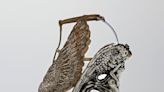 Alexander McQueen’s iconic ‘Angel Shoe’ to be show highlight at Pageant of the Masters - Laguna Beach Local News