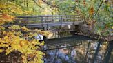 Happy 50th birthday to Flat Rock Brook Nature Center, the park that almost wasn't