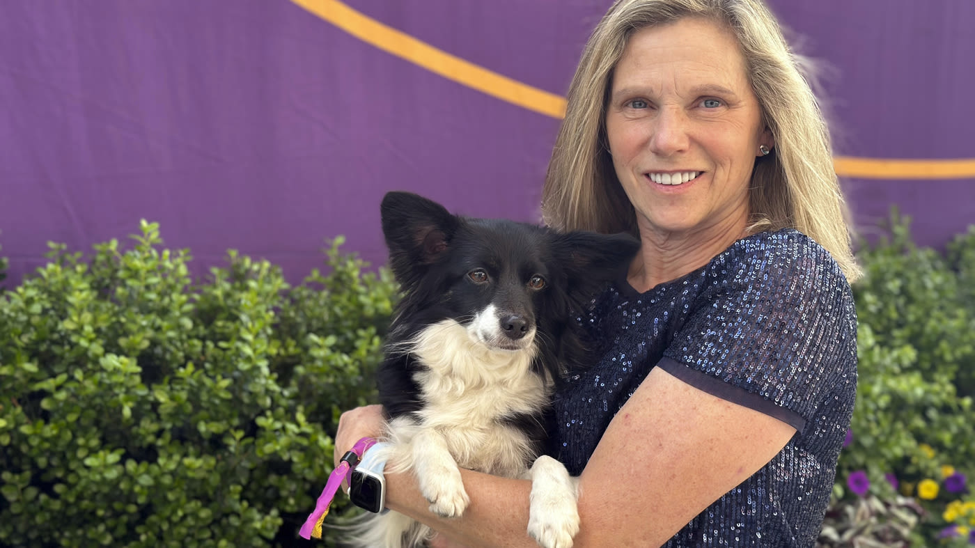 Small but mighty Nimble becomes first mixed-breed dog to win Westminster agility title