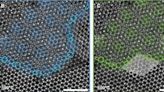 Atom-by-Atom: Imaging Structural Transformations in 2D Materials