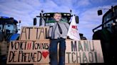 Nearly 100 French farmers arrested at food market in Paris as tractor protests spread