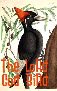 The Lord God Bird