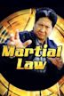 Martial Law – Der Karate-Cop