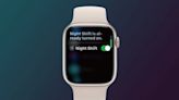 Apple Watch 新增隱藏功能，目前只能透過 Siri 啟動