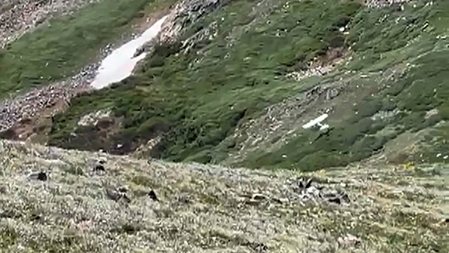 Video shows small plane almost crash into Colorado mountainside