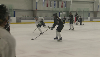 Women's professional ice hockey players look forward to playoffs