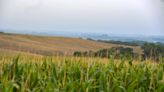 Farmers hope recent rains will ease Iowa's drought, now in the longest stretch in 23 years