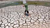 Las olas de calor rompen récords globales; ONU advierte un "infierno climático"