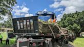 Fort Myers police at scene of crash between tractor-trailer and train near downtown area